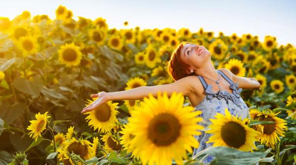 secrete viata reprogramare creier