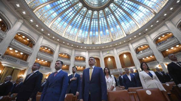 pachet austeritate avizare ces