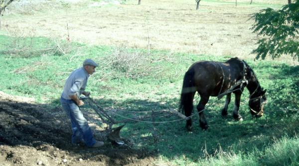 secretele longevitatii locuitorilor cilento lectii viata activa alimentatie sanatoasa
