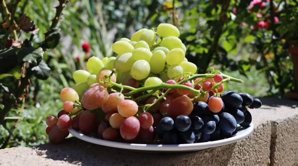 16 beneficii uimitoare ale strugurilor pentru sănătate