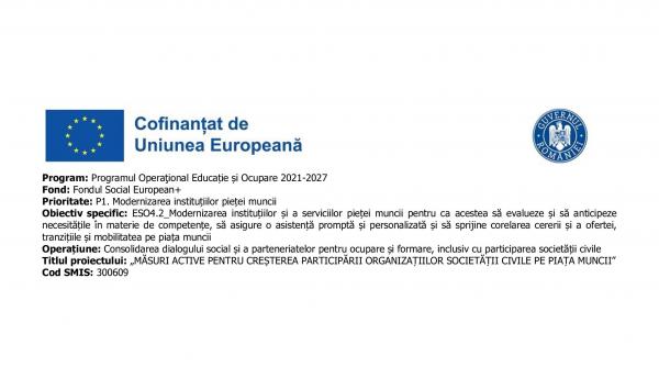 femeile din grupuri defavorizate si accesul pe piata muncii