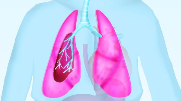 Cum îți poți menține plămânii tineri și sănătoși: teste simple acasă și metode eficiente de întărire a respirației