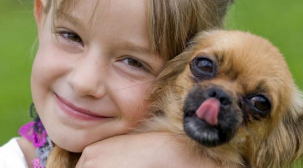 Câinii simt dacă îi iubești. Semnalul pe care nu știi că îl transmiți