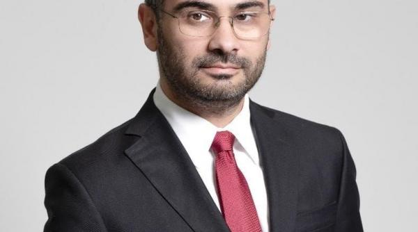 florin manole concedieri