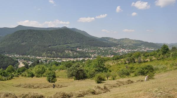 Rămășițele unei păduri pietrificate, descoperite în Parcul Natural Putna Vrancea