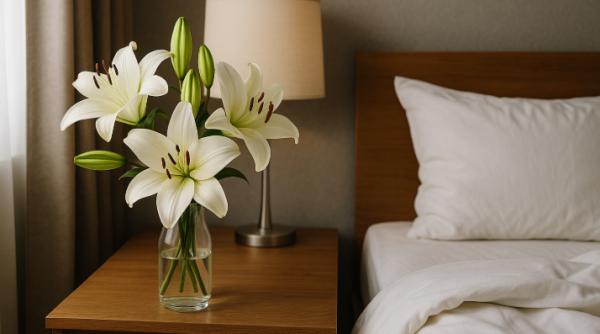 6 plante care te ajută să ai un somn profund și liniștit