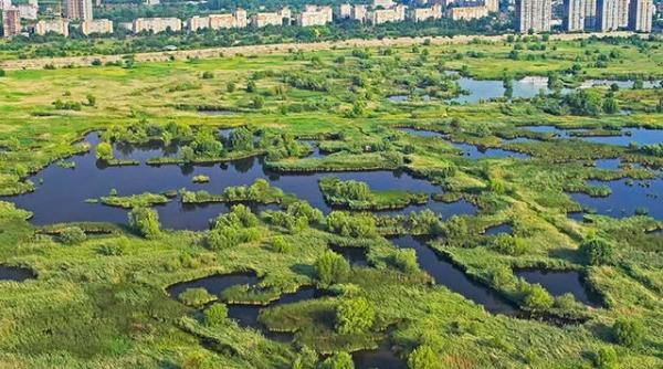 Ministrul Mediului, despre Delta Văcărești: Trebuie pusă legea în aplicare. Consecințe imediate și dure