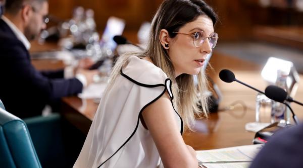 buzoiuanu chirie apele romane