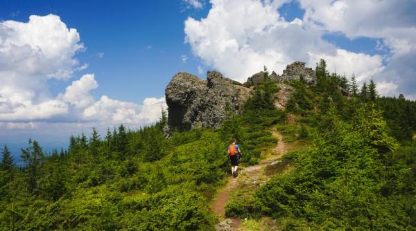 Ariile protejate vor avea planuri de urgenţă fitosanitară 