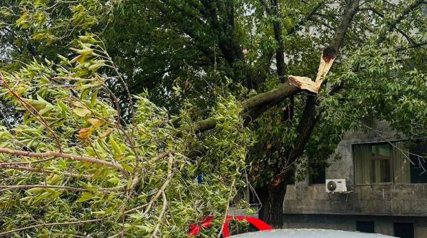 Haos în Capitală: doi copaci s-au prăbușit pe autoturisme aflate în mers. O persoană a ajuns la spital