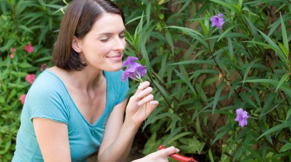 Cei născuți în Iunie: bunătatea care schimbă lumea prin acțiune