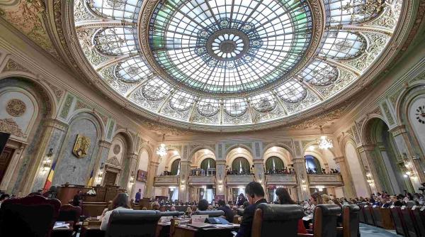 Senatul a adoptat Legea Majoratului Digital