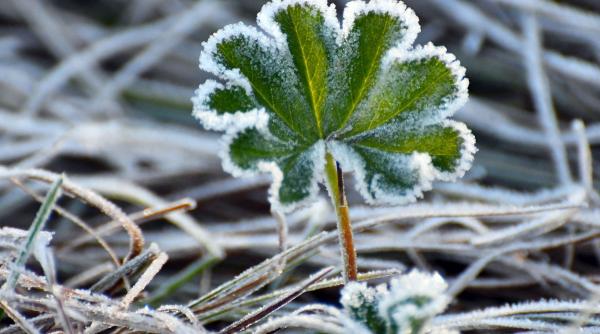 Romunijo v prihodnjih dveh tednih čakajo nestabilno vreme, padavine in dvig temperatur