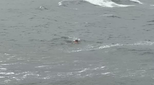 Campionul la înot în ape înghețate, constănțeanul Cristian Tranulea, se antrenează pe Cod Roșu în Marea Neagră pentru Cupa Mondială de Ice Swimming