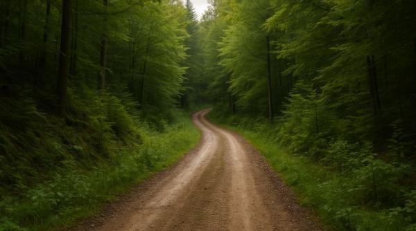 Descoperire macabră: Tânăr găsit mort pe un drum forestier din Comarnic