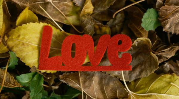 Horoscopul toamnei 2025: Patru zodii își revăd trecutul și redescoperă iubirea