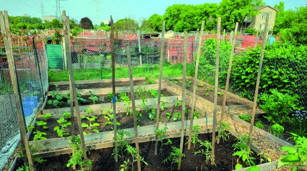 Lecția americană: când viața se scumpește, se muncește mai mult