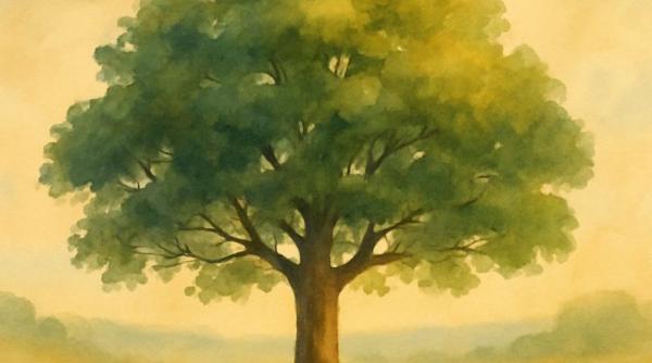 Testul Arborelui: când desenul devine oglinda sufletului