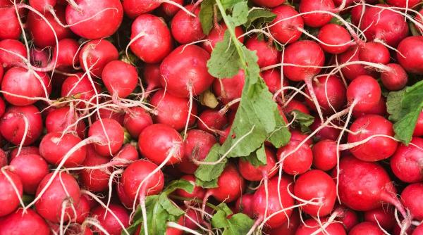 ingredient vindeca intestin reduce inflamatia frunze ridichi