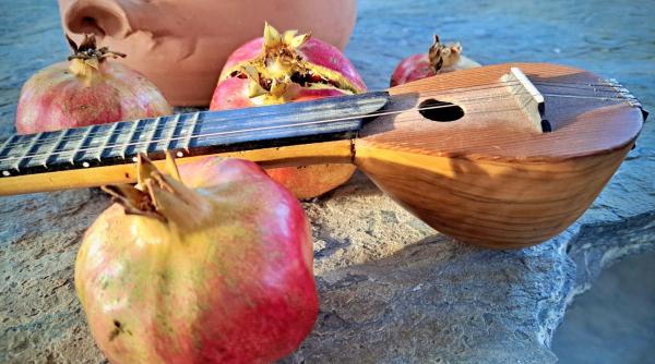 Se întâmplă în Maramureș: documentar de mare valoare, în proiecție specială