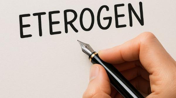 Limba română: Ce înseamnă cuvântul „eterogen”?