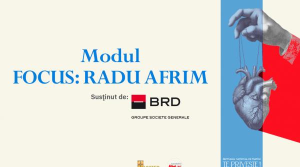 modulul focus radu afrim in festivalul national de teatru fnt35