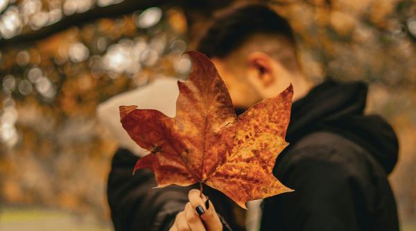 Horoscop noiembrie 2025: Schimbări profunde și redescoperire pentru patru zodii