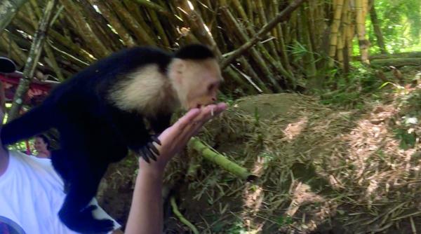 Locul unde veselia e un obicei