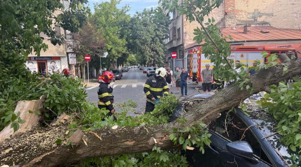 Un copac s-a prăbușit peste o mașină în cartierul Nordului din Capitală