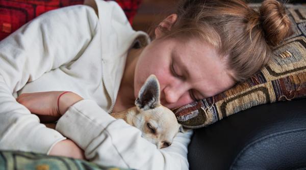 Legătura surprinzătoare dintre somn, tensiune arterială și demență: ce au descoperit cercetătorii de la Cambridge