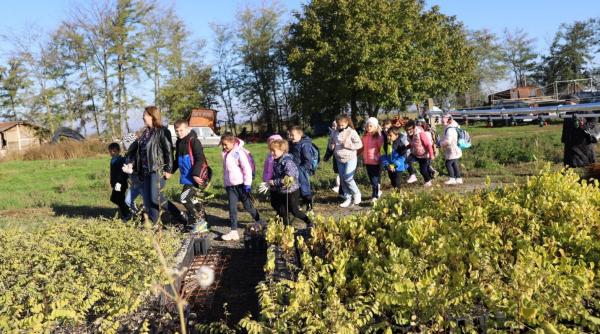 Încă un pas către înlocuirea directorilor de școli cu manageri: nu au timp să se ocupe de toate proiectele necesare