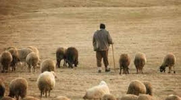 Ritualul Moșilor de Toamnă, sărbătoarea arhaică dintre două lumi