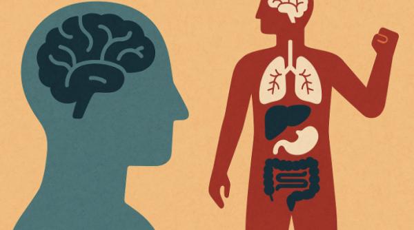 Creierul are nevoie de 200 de milisecunde pentru a alege mâncarea