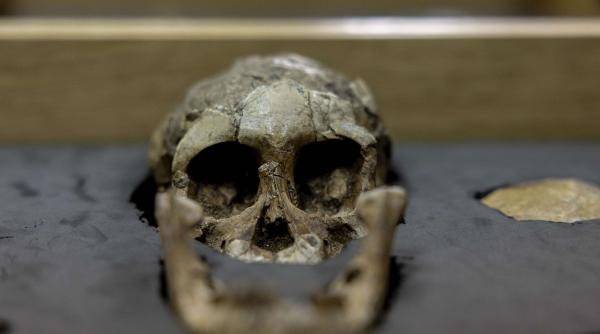 prima dovada stiintifica ciuma neagra edinburgh descoperita schelet