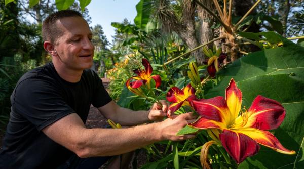 horoscop zodiac saptamana 10 16 noiembrie 2025 luna fecioara marte sagetator