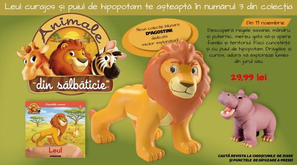 Leul – Regele savanei, eroul din numărul 3 al colecției „Animale din Sălbăticie”!