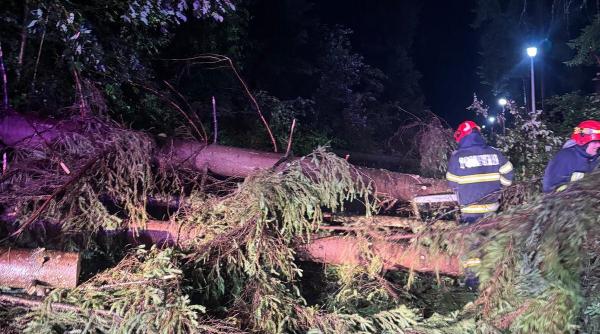 Mamă și doi copii olandezi, salvați de jandarmii montani după ce au rămas blocați în Munții Orăștiei