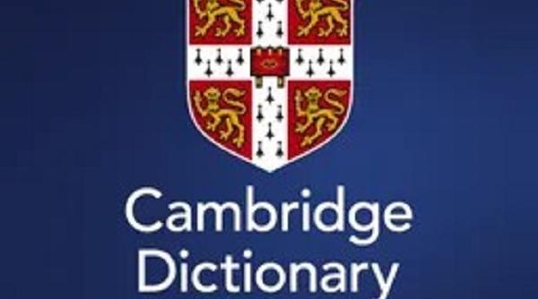 cambridge dictionary cuvantul anului 2025