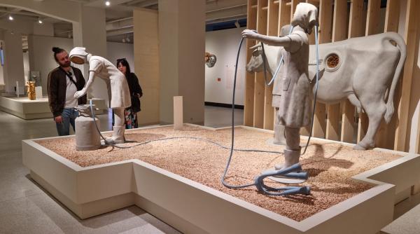 Cultura contează: 20 de proiecte remarcabile au traversat patru continente cu sprijinul ICR, prin Programul CANTEMIR 2025