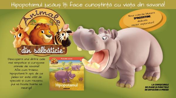 Descoperă lumea fascinantă a hipopotamului!