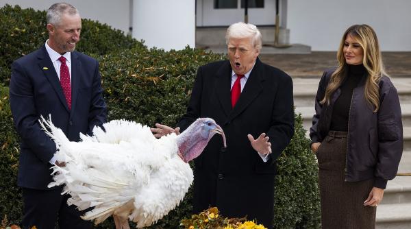 Tradiția grațierii curcanilor de Ziua Recunoștinței, prilej pentru Trump de atac la democrați