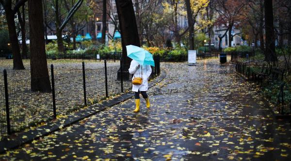 6 zodii chinezesti au parte de atractie reala conexiune adevarata si mult potential pe 28 noiembrie 2025