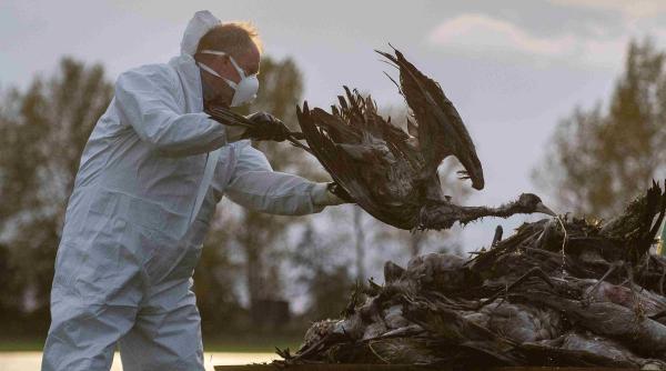 &#536;eful CNAS: &Icirc;n ciuda valurilor de dezinformare pe teme medicale, &bdquo;&icirc;ncrederea &icirc;n vaccinuri revine&rdquo;