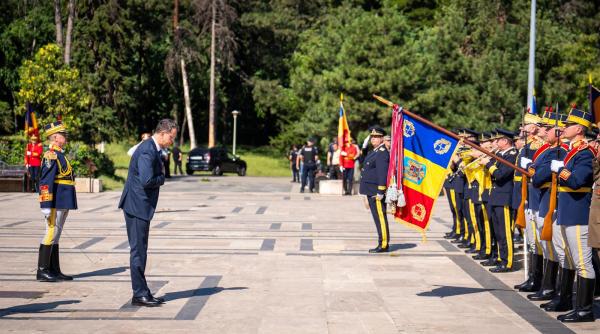 ionut mosteanu demisie