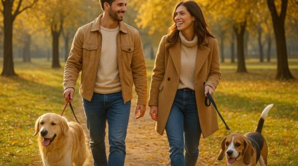 6 zodii chinezesti conexiuni surprinzatoare 3 decembrie 2025