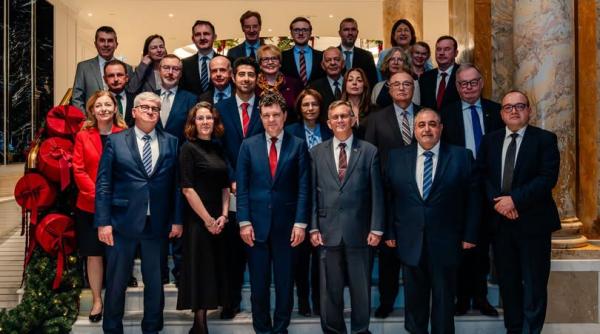 nicusor dan ambasadori ue