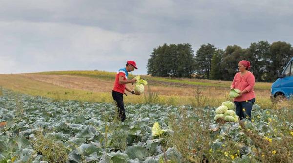 ministerul agriculturii ordonanta comasare institutii reducere cheltuieli bugetare