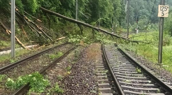 avertizare meteo imediata cod portocaliu vant puternic 4 decembrie