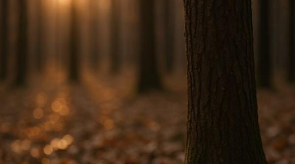 De Sfântul Nicolae, citește aceste 10 gânduri care vindecă sufletul