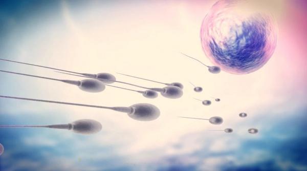 Un donator de spermă cu o mutație genetică gravă devine tată pentru aproape 200 de copii în Europa